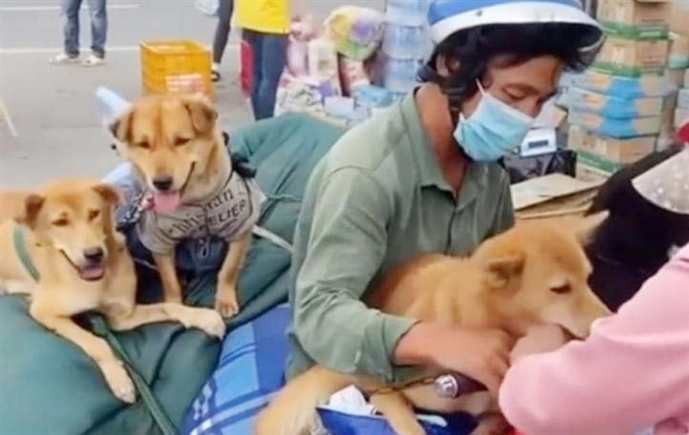 Vụ 15 con chó bị tiêu hủy ở Cà Mau: Một người không liên quan ở Đồng Nai liên tục bị gọi điện chửi bới - 1 Vụ 15 con chó bị tiêu hủy ở Cà Mau: Một người không liên quan ở Đồng Nai liên tục bị gọi điện chửi bới - 1