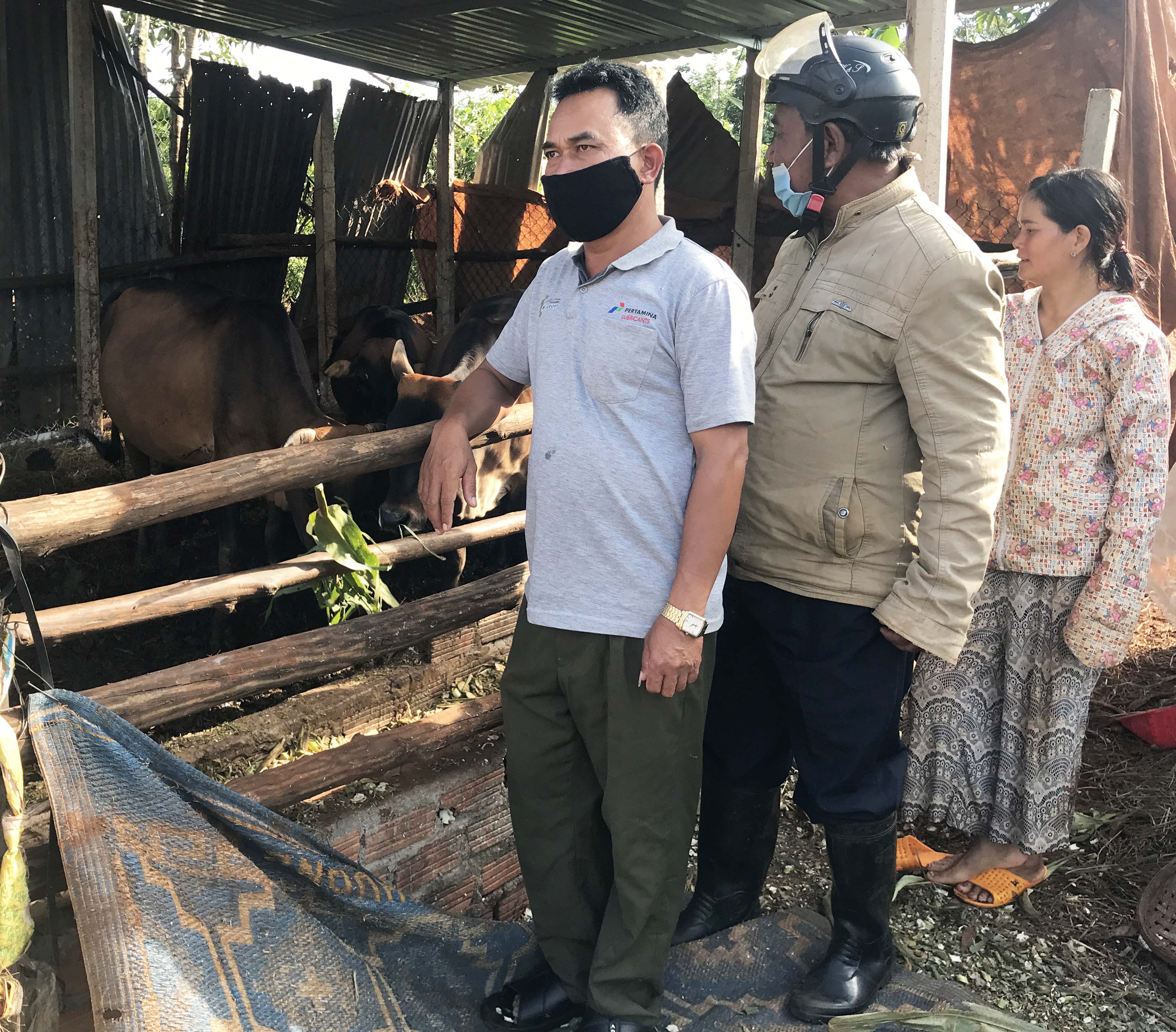 Cán bộ thú y xã Ia Băng (huyện Chư Prông) kiểm tra đàn bò khỏi bệnh viêm da nổi cục. Ảnh Nguyễn Diệp