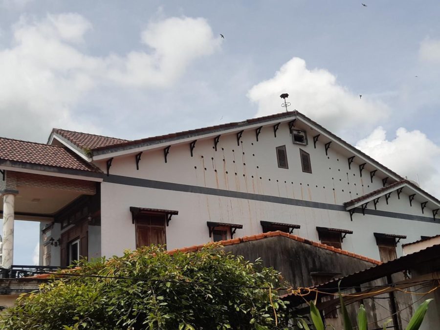Một số biệt thự cũng chuyển sang nuôi yến