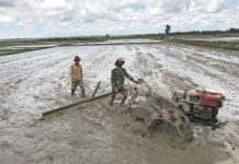 Nông dân Chư  Prông chuẩn đất sản xuất vụ Đông Xuân 2021-2022. Ảnh: Nguyễn Diệp