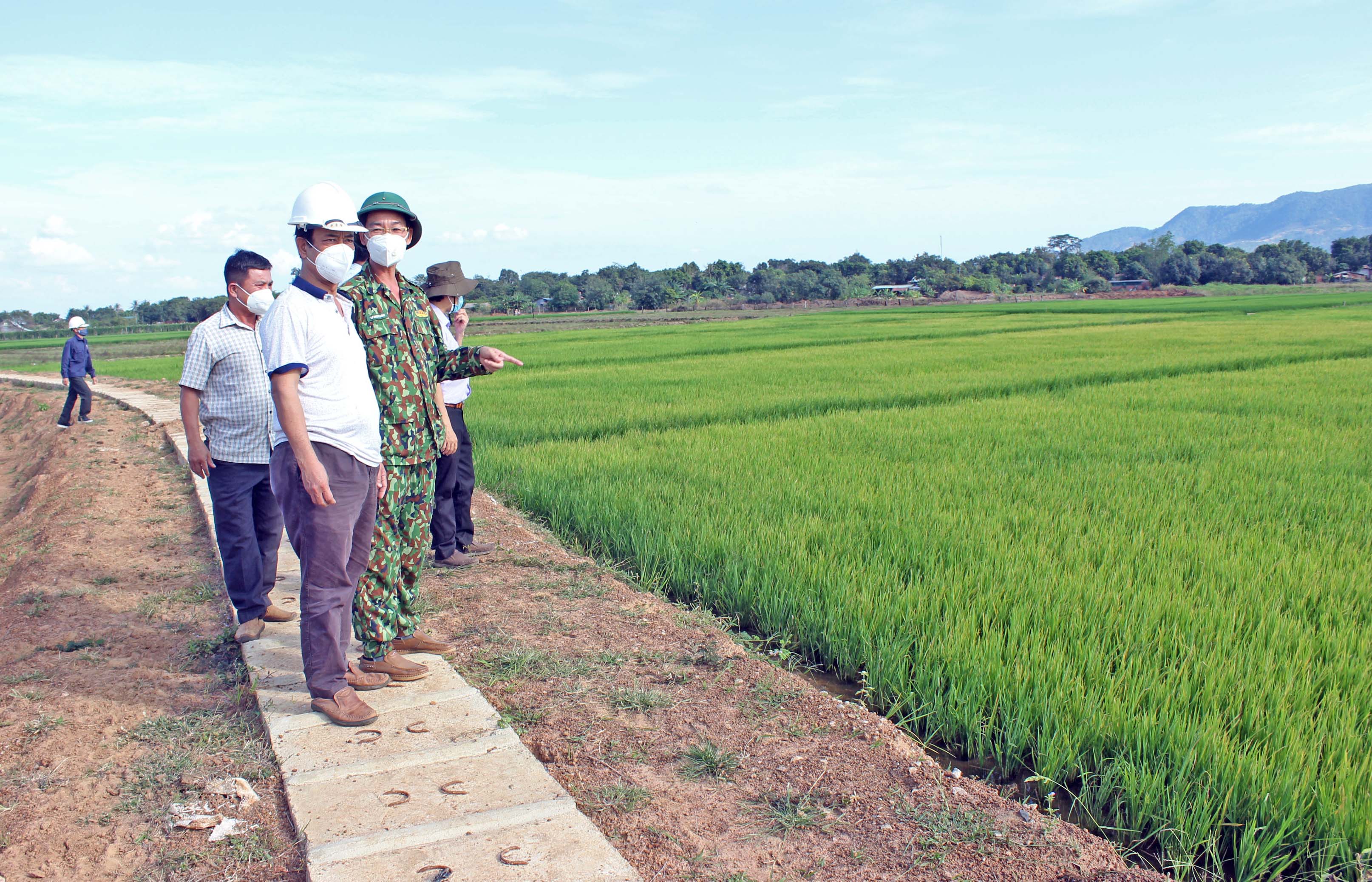 Đơn vị thi công kiểm tra kênh dẫn nước về cánh đồng làng Me. Ảnh: Nguyễn Diệp