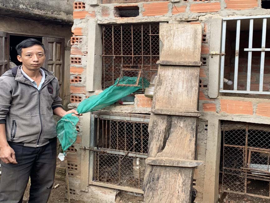 Mang Yang: Phát hiện 1 cơ sở nuôi nhốt động vật hoang dã trái phép