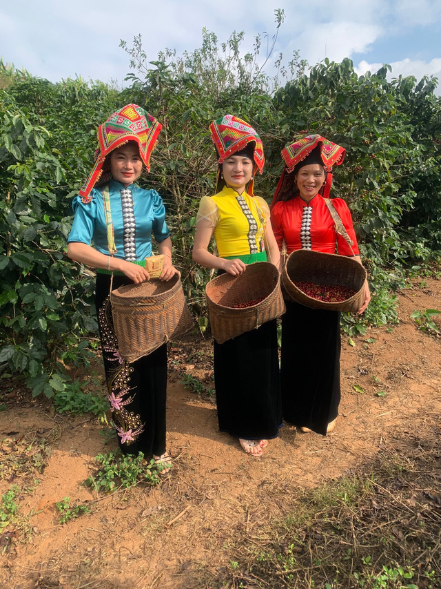 Những phụ nữ Thái ở miền núi Sơn La vươn lên làm chủ cuộc sống từ cây cà phê - Ảnh 3.