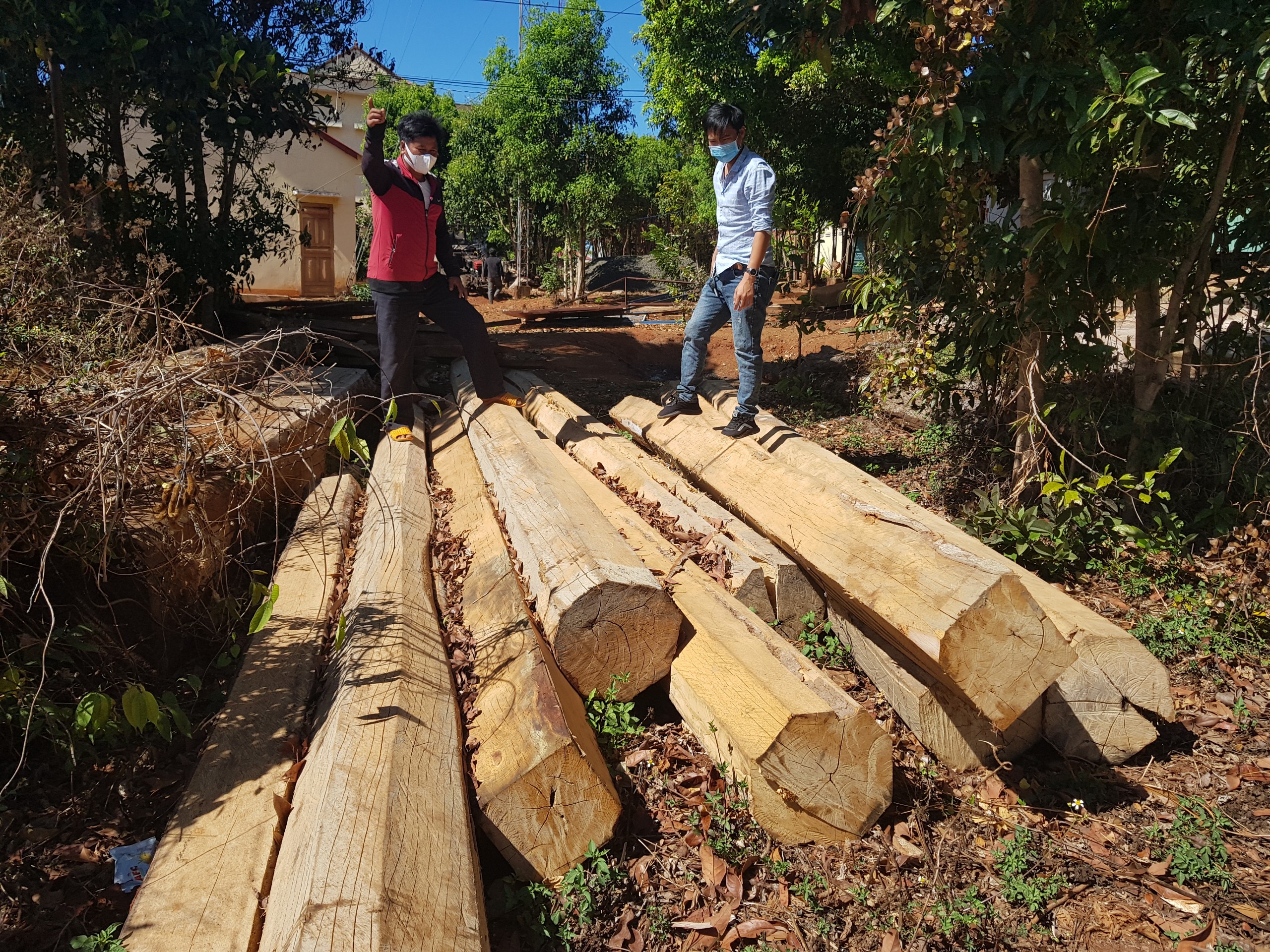Tổ quản lý, bảo vệ rừng làng Tar kịp thời phát hiện, ngăn chặn vụ khai thác rừng trái phép ở lâm phần quản lý. Ảnh: Thiên Di