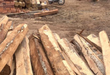 Chư Prông: Phát hiện xưởng gỗ trái phép ở xã Ia Mơr