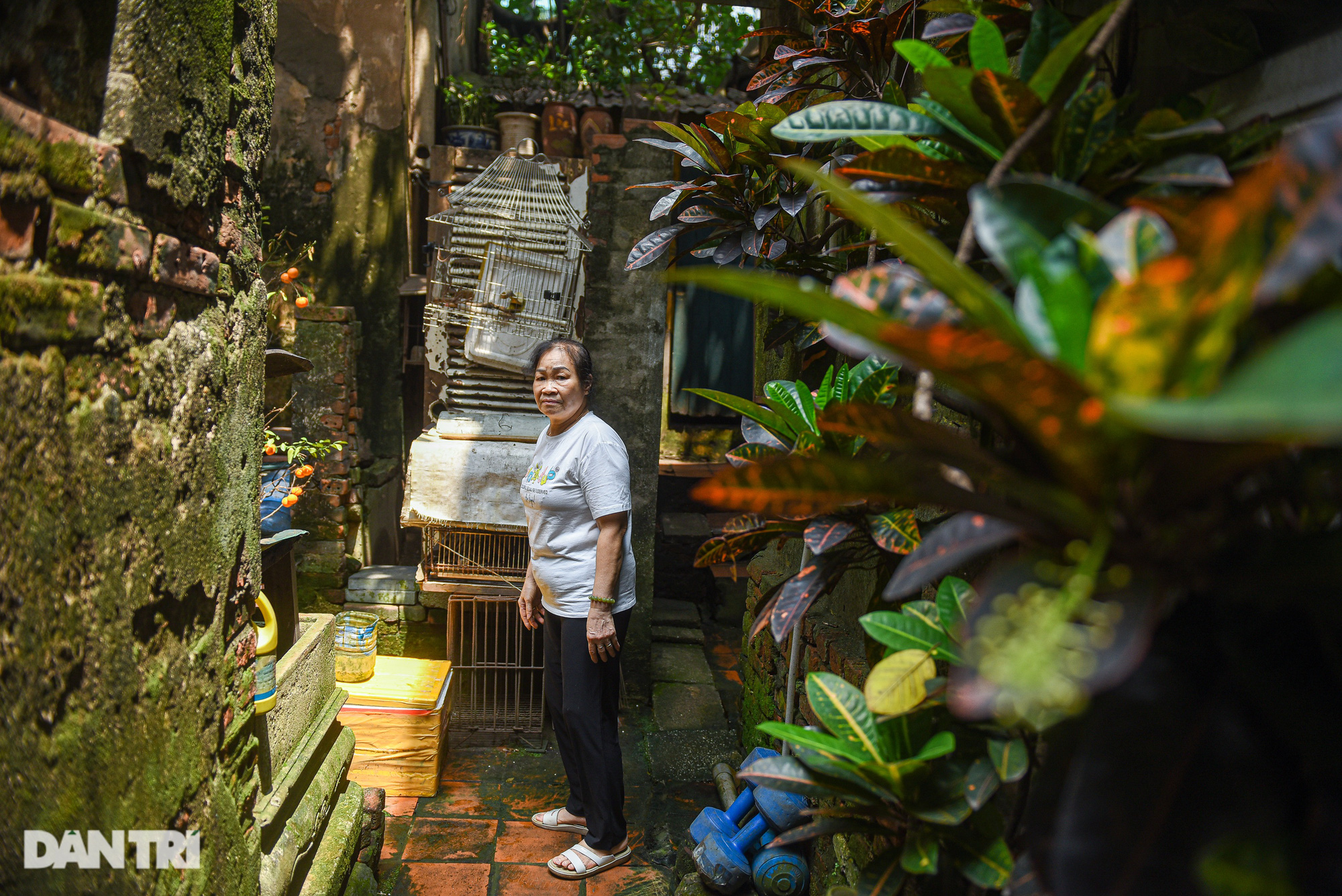 Cảnh "cúi người", quanh năm "lom khom" trong biệt thự triệu đô ở Hà Nội - Ảnh 8.