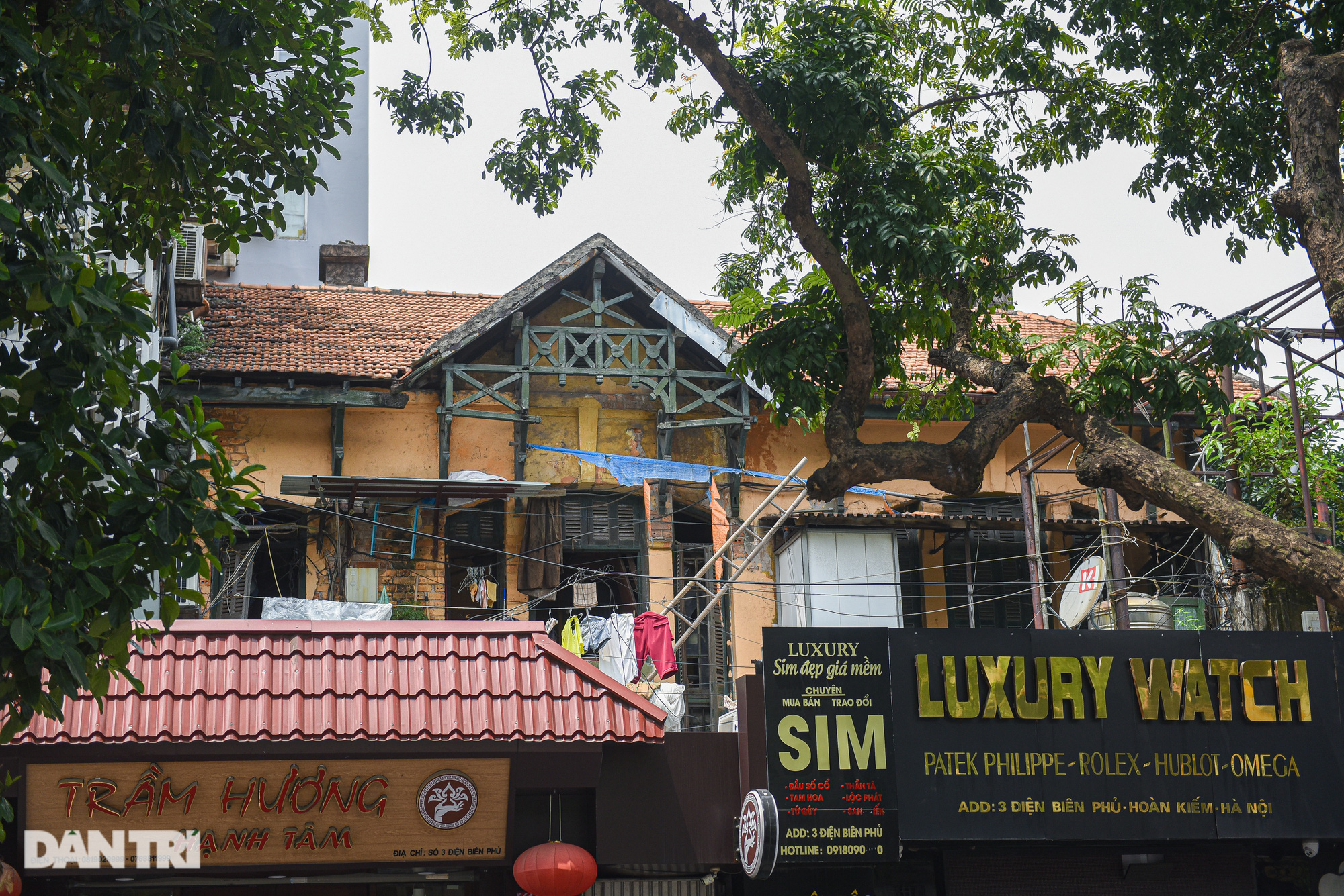 Cảnh "cúi người", quanh năm "lom khom" trong biệt thự triệu đô ở Hà Nội - Ảnh 1.