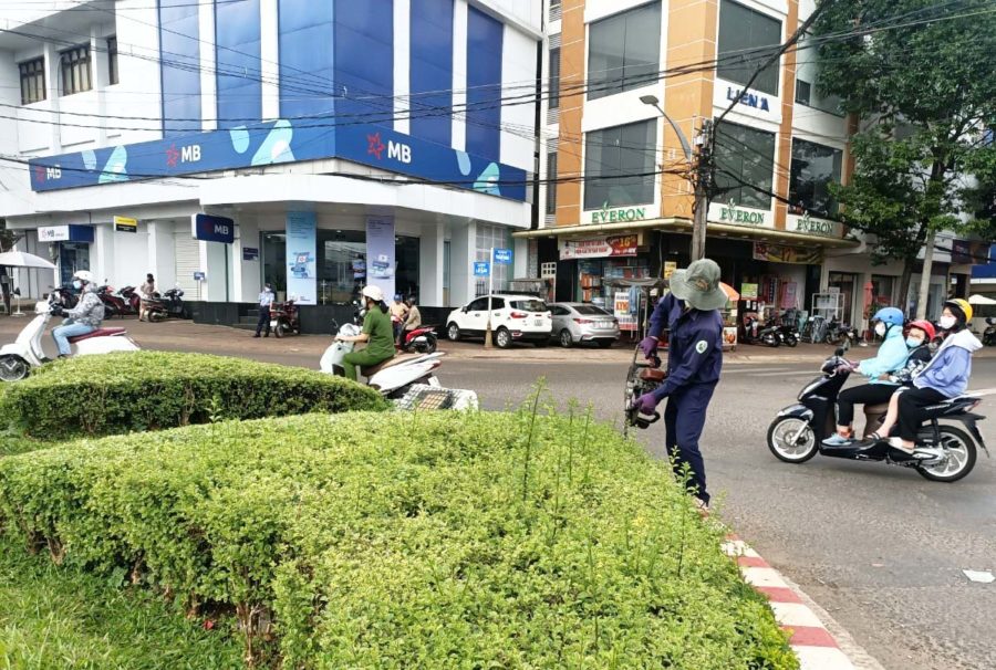 Công nhân Công ty cổ phần Công trình đô thị Gia Lai cắt tỉa cây cảnh tại các đảo giao thông. Ảnh: Quang Tấn