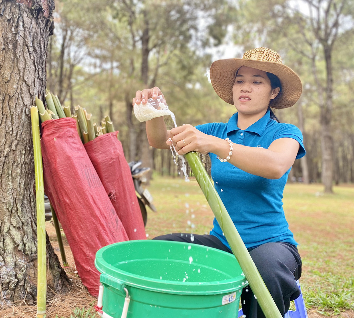 Chị H'Soanh (làng Choet Ngol, phường Thắng Lợi, TP. Pleiku) chuẩn bị các ống cơm lam để phục vụ du khách tại khu vực đồi thông xã Ia Dêr (huyện Ia Grai). Ảnh: Mộc Trà