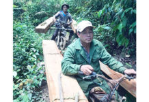 Bắt quả tang 2 đối tượng khai thác rừng trái phép tại huyện Krông Pa