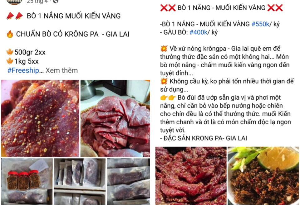 loai muoi dac biet tu nhung con kien vang tai gia lai hinh 3