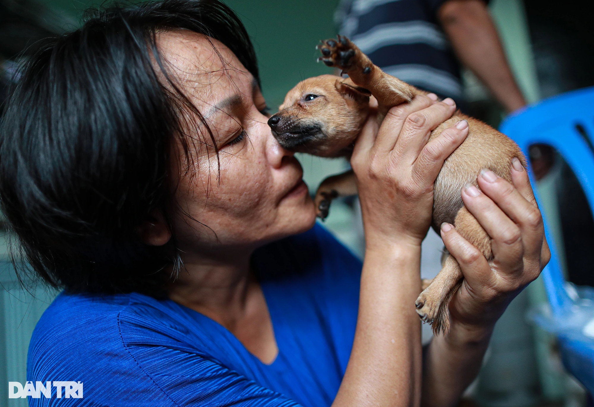 "Người mẹ gàn dở" nuôi hơn 500 chú chó, mèo được cứu mạng từ lò mổ - Ảnh 5.