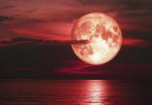  Siêu trăng dâu - Ảnh đồ họa từ SCITECH DAIL