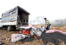 Lực lượng chức năng tiêu hủy phân bón giả, kém chất lượng tại bãi rác Cam Ly (tỉnh Lâm Đồng). Ảnh: Báo Lâm Đồng 