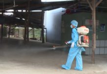 Nhân viên y tế phun thuốc diệt muỗi tại chợ Phú Túc. Ảnh: Gia Hưng