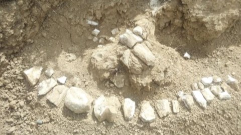 Hóa thạch được tìm thấy ở Tân Cương, Trung Quốc. Nguồn: China News