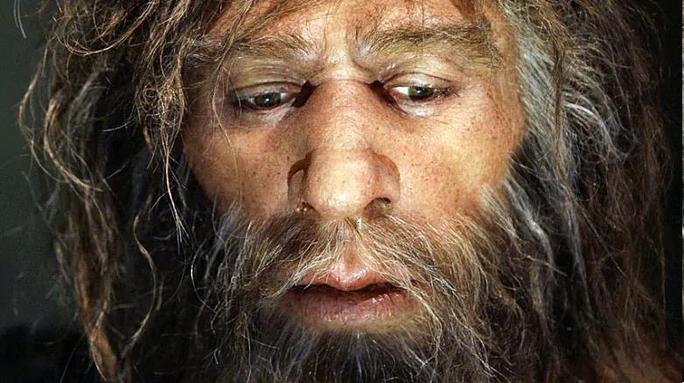 Người Neanderthals được phục dựng dưới dạng tượng sáp trong một bảo tàng - Ảnh: REUTERS
