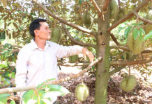 Gia Lai: Xuất khẩu trái cây có cơ hội đột phá