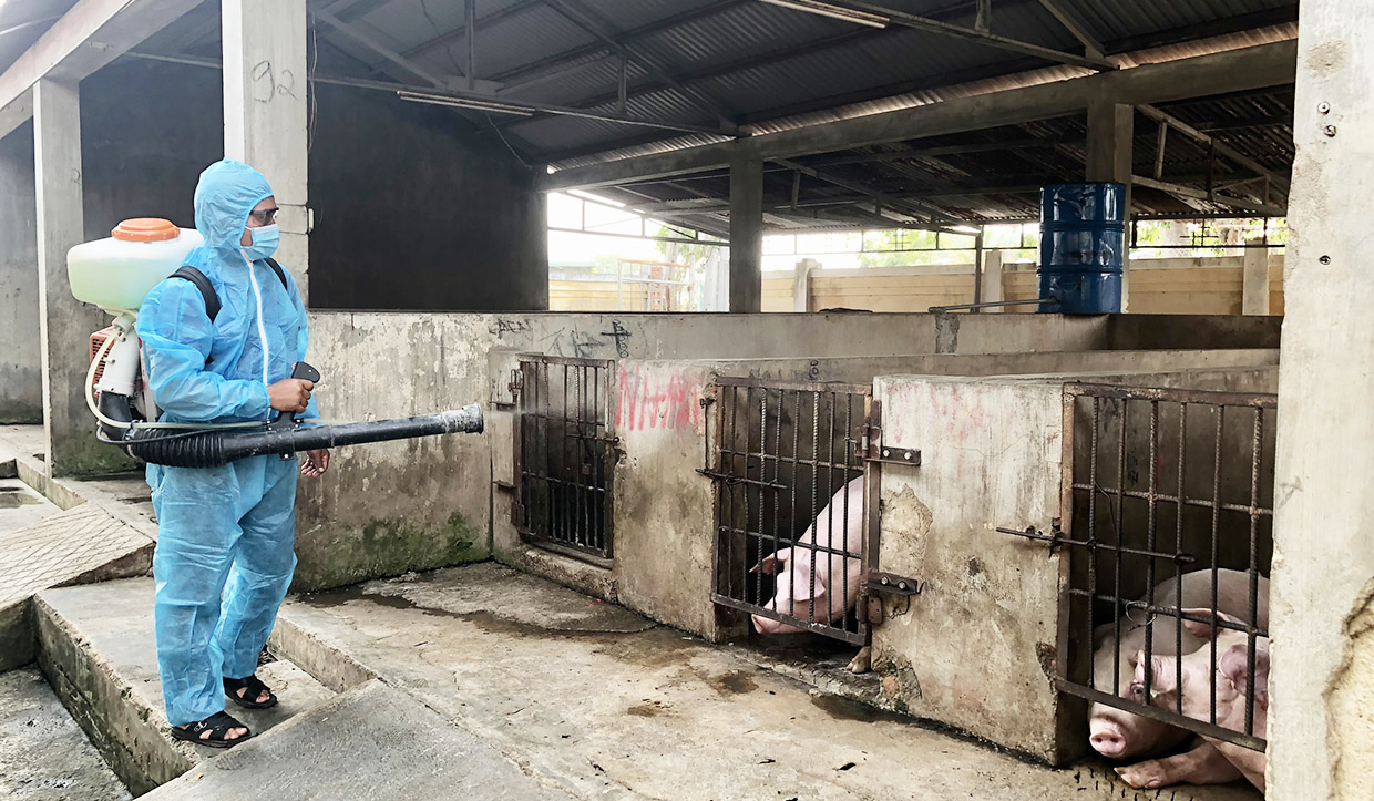   Nhân viên thú y Trung tâm Dịch vụ nông nghiệp huyện Krông Pa phun hóa chất khử khuẩn khu vực chăn nuôi. Ảnh: Lê Nam