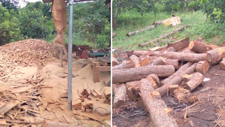 Phó Chủ tịch UBND tỉnh chỉ đạo xử lý nghiêm vụ xưởng gỗ hoạt động "chui"