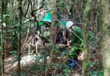 Vụ 2 nạn nhân tử vong trong rừng Kbang: Đã có người thân đến nhận dạng và lấy mẫu giám định ADN