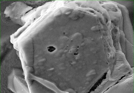 Một hạt bụi từ Ryugu được phân tích trong nghiên cứu - Ảnh: SCIENCE