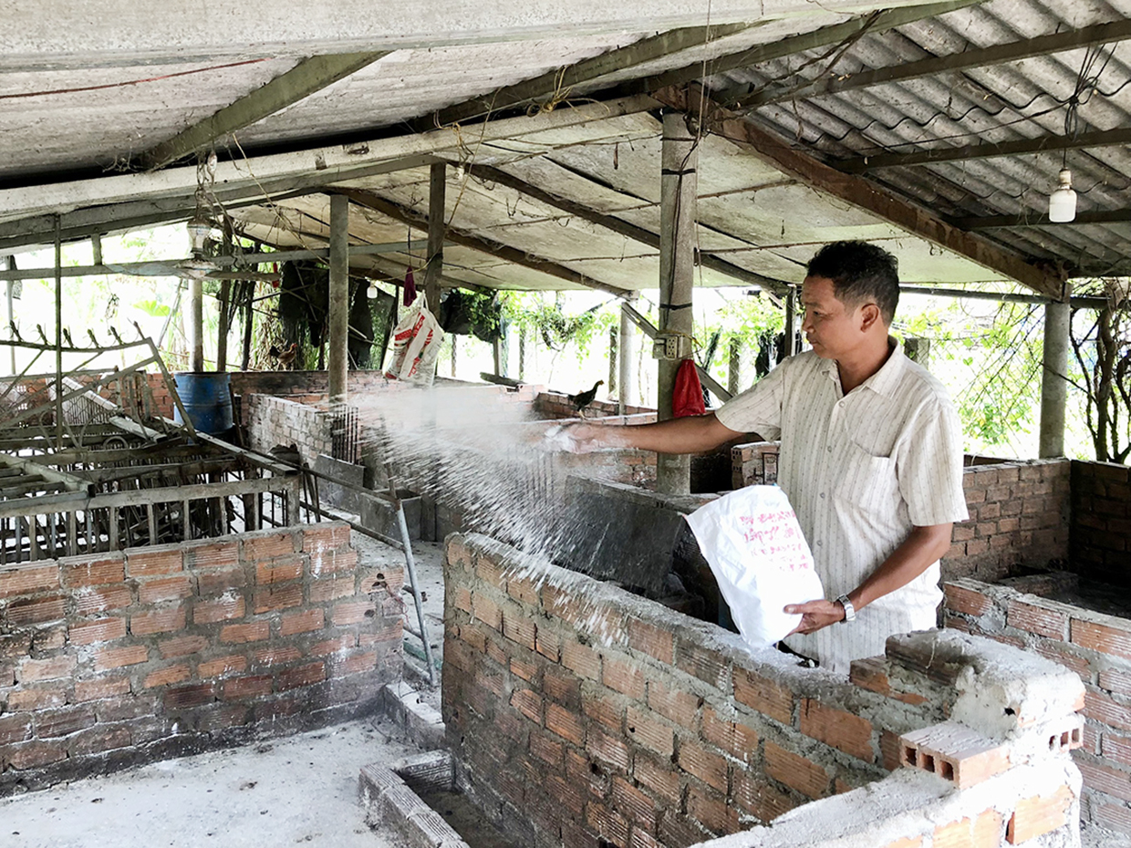  Người dân xã Ia Rsươm (huyện Krông Pa) rắc vôi khử trùng khu vực chuồng nuôi heo của gia đình. Ảnh: Lê Nam