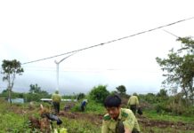  Hưởng ứng Đề án “Trồng 1 tỷ cây xanh giai đoạn 2021-2025 của Thủ tướng Chính phủ” Hạt Kiểm lâm huyện Kông Chro trồng 2.500 cây xanh. Ảnh: An Phát
