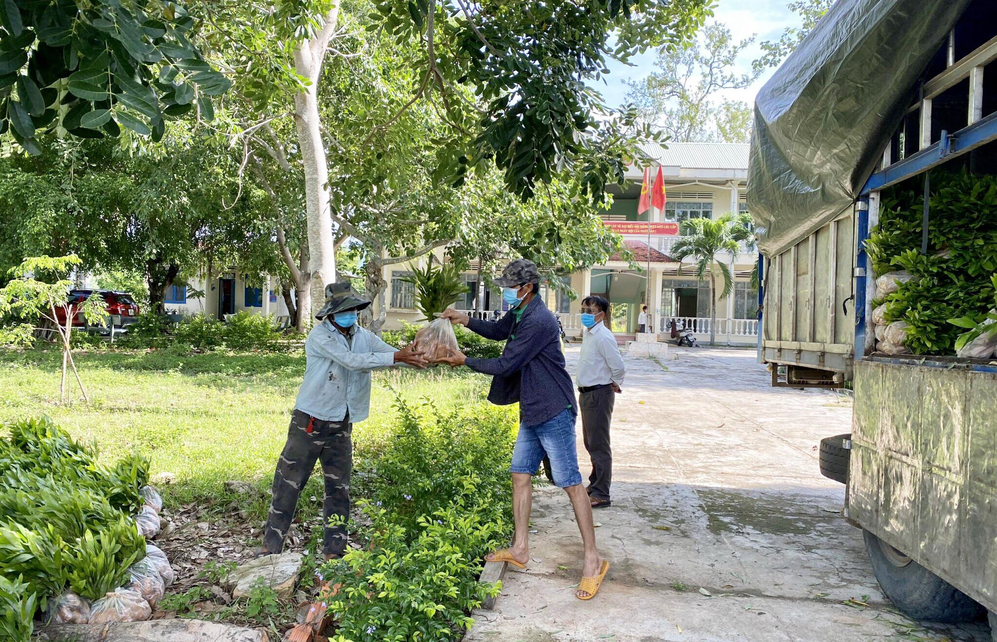 Hạt Kiểm lâm huyện Krông Pa cấp cây giống cho người dân xã Đất Bằng để trồng rừng. Ảnh: Lê Nam