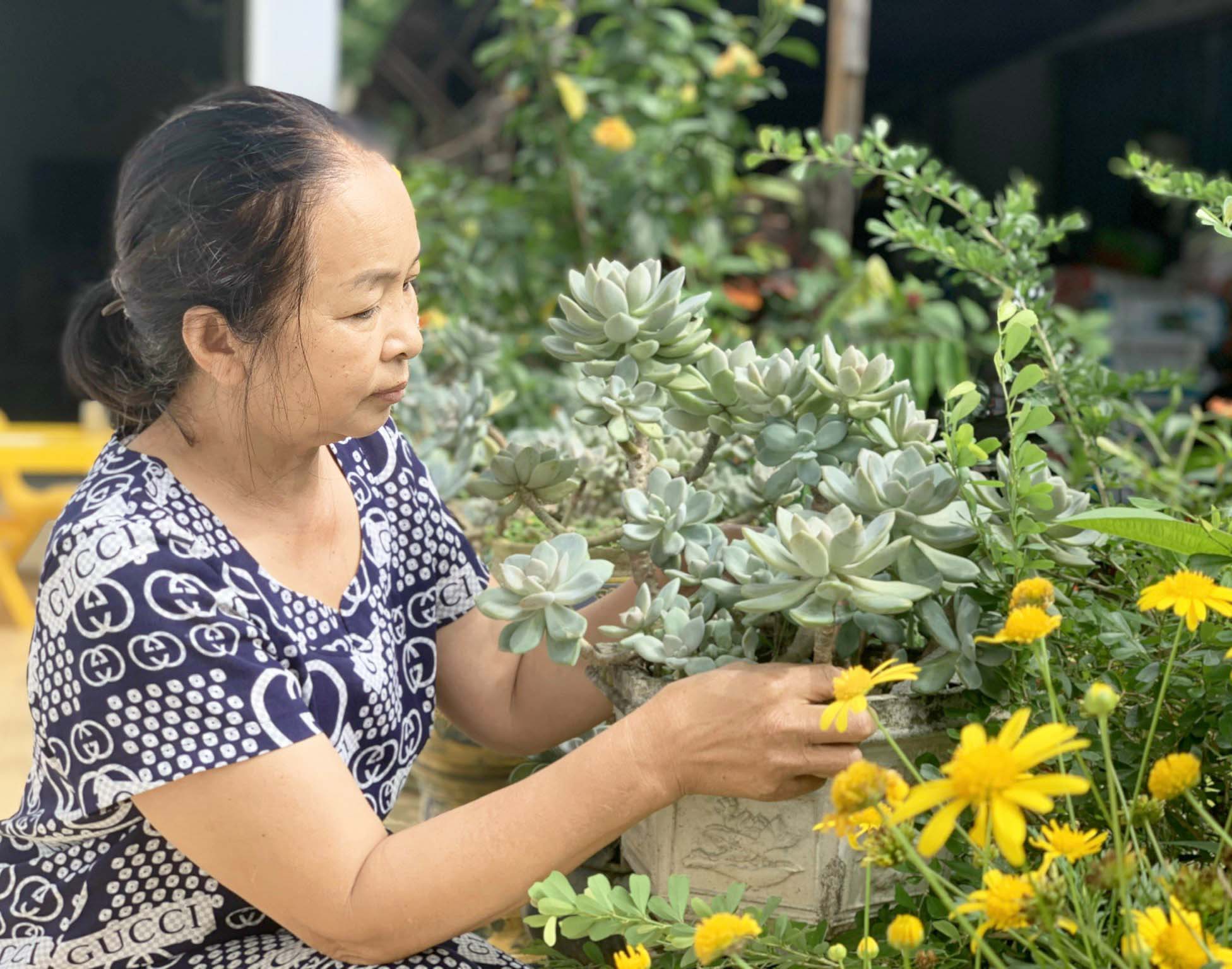 Bà Võ Thị Thanh Thủy (phường Yên Thế, TP. Pleiku) chăm sóc cây cảnh. Ảnh: Nhật Hào