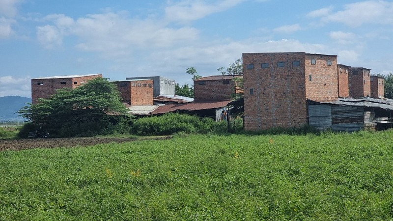 Gia Lai: Xây dựng nhà nuôi chim yến tại huyện Ia Pa nghi trên đất nông nghiệp?