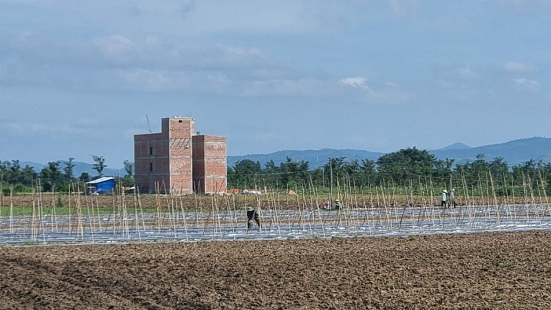 Gia Lai: Xây dựng nhà nuôi chim yến tại huyện Ia Pa nghi trên đất nông nghiệp?