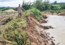 Sạt lở đất khiến cây trồng của người dân làng Kon Sơ Lăng bị cuốn trôi theo dòng suối. Ảnh: Khánh Phong