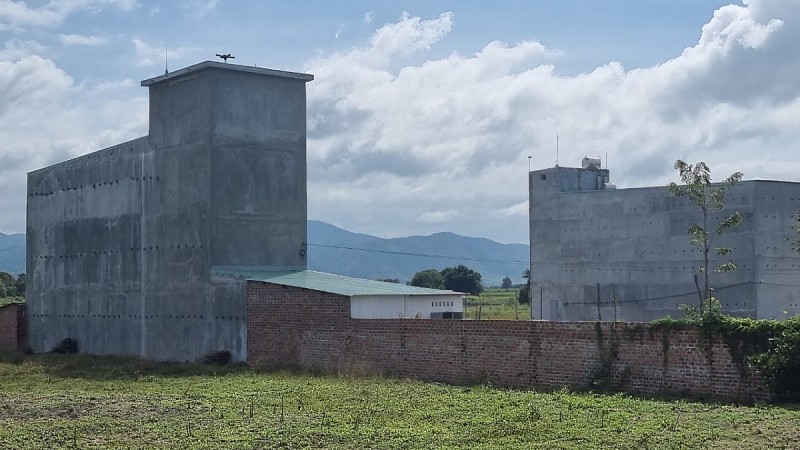 Huyện Ia Pa- Gia Lai:  Xây nhà kiên cố nuôi chim yến ngay trên ruộng lúa