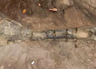 "Hóa thạch xương khủng long đầu tiên phát hiện ở Campuchia"