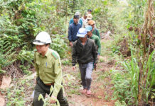 Gia Lai bổ sung hơn 6.200 ha rừng tự nhiên phục vụ Quy hoạch lâm nghiệp quốc gia