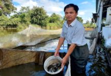 Gia đình ông Nguyễn Đức Thắng (xã Ia Peng, huyện Phú Thiện) có thu nhập 500 triệu đồng/năm từ nuôi cá giống. Ảnh: Hoành Sơn