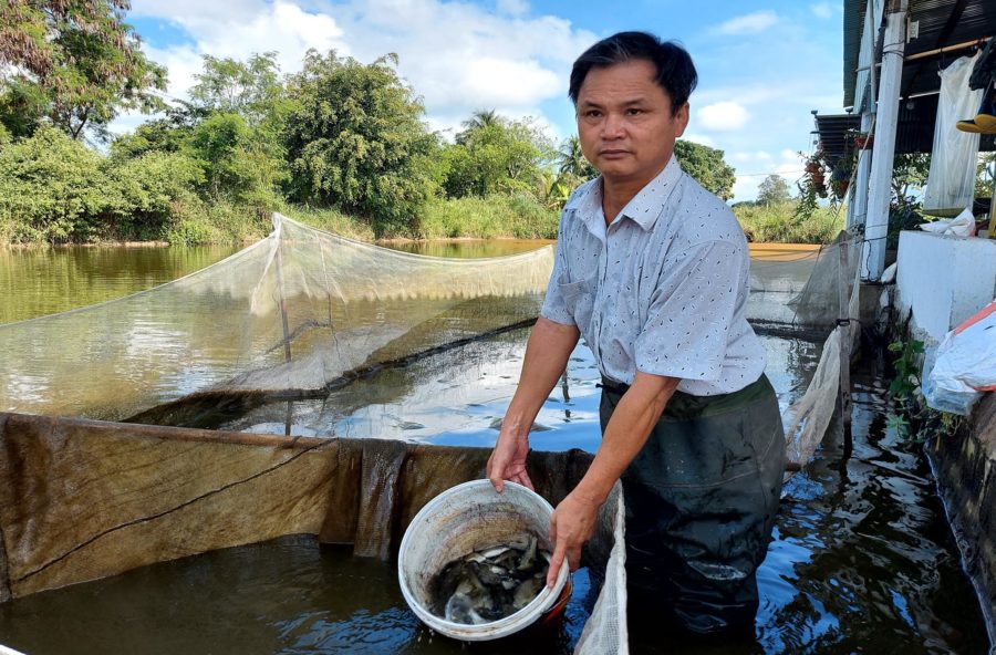 Gia đình ông Nguyễn Đức Thắng (xã Ia Peng, huyện Phú Thiện) có thu nhập 500 triệu đồng/năm từ nuôi cá giống. Ảnh: Hoành Sơn
