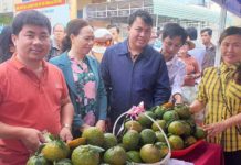  Đông đảo người dân tới tham quan, mua sắm tại chợ phiên nông sản an toàn huyện Đak Đoa. Ảnh: Đinh Yến