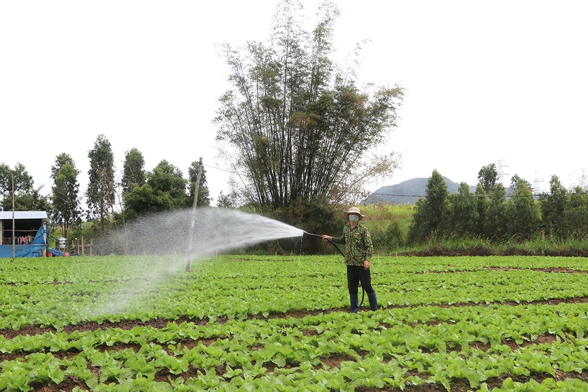 Đak Pơ ưu tiên đầu tư xây dựng, nâng cấp công trình thủy lợi  ảnh 2