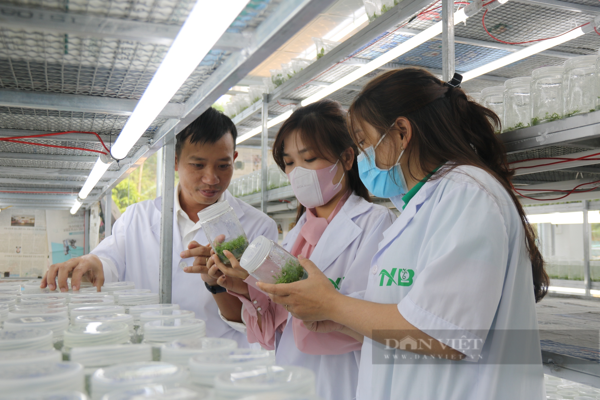 Chàng trai 8X ở Gia Lai khởi nghiệp từ nuôi cấy mô giống cây lâm nghiệp - Ảnh 3.