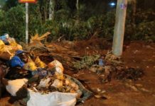 Pleiku: Vứt rác bừa bãi gây ô nhiễm môi trường  ảnh 1