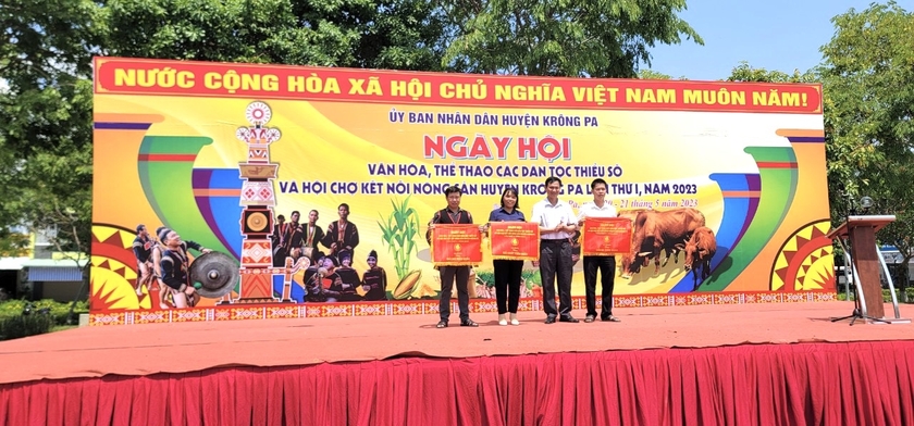 Ngày hội Văn hóa, Thể thao các dân tộc thiểu số huyện Krông Pa: Xã Ia Rmok đạt giải nhất toàn đoàn  ảnh 1
