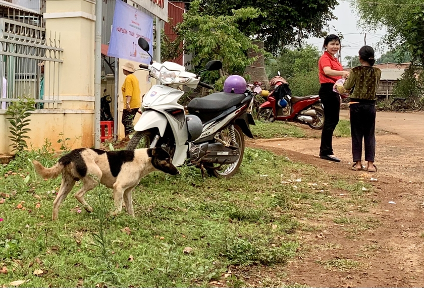 Gia Lai: 1 cháu bé tử vong do bệnh dại ảnh 1