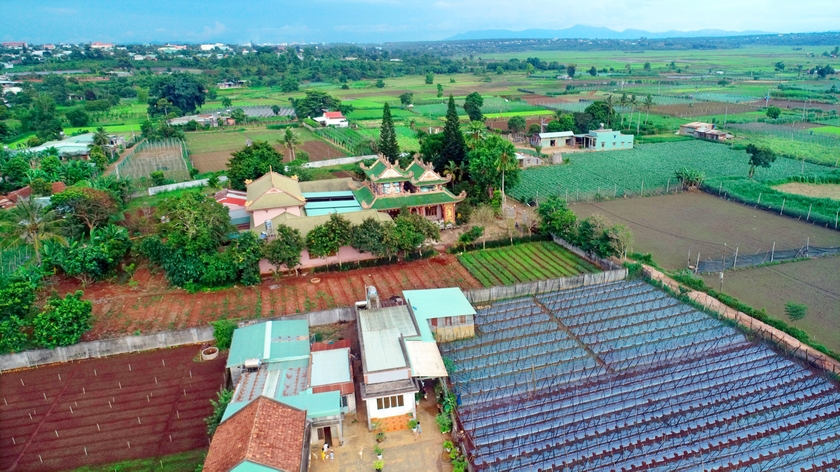 Sắc màu ruộng rau An Phú ảnh 4