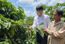 Agribank Chư Pưh “tiếp sức” phát triển nông nghiệp  ảnh 1