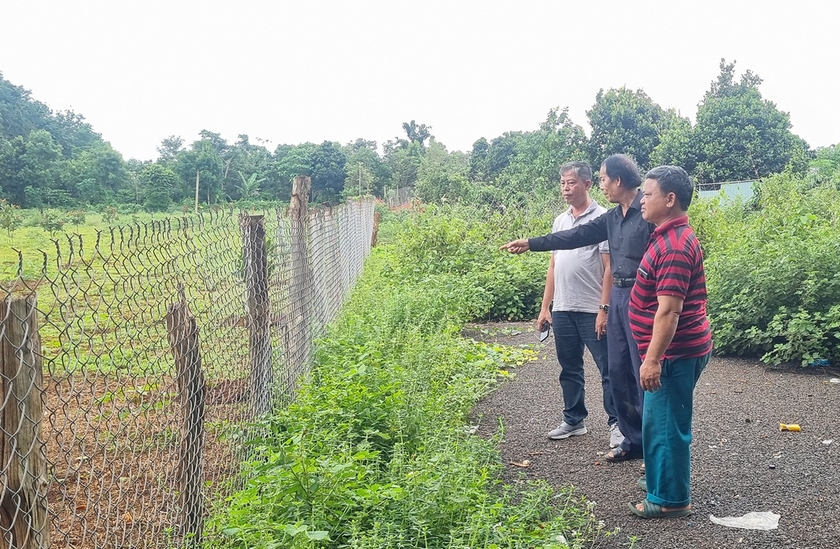 Ông Rơ Lan Hế (đứng giữa)-nguyên Chủ tịch UBND xã Ia Kriêng cho biết, hiện gia đình ông Kpui Nhơk đã rào lại sân bóng để trồng cây. Ảnh: P.N ảnh 1