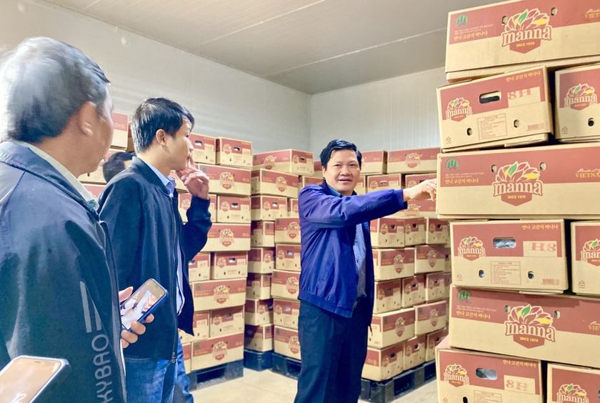Sản phẩm chuối chuẩn bị xuất khẩu sang Hàn Quốc của Công ty cổ phần Nông nghiệp công nghệ cao Hưng Sơn (huyện Đak Đoa). Ảnh: Hà Duy ảnh 2