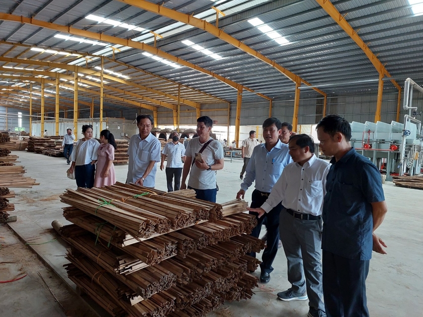 Tổ hợp công nghiệp chế biến tre biến tính tại Thanh Hóa. Ảnh: Nguyễn Diệp ảnh 2
