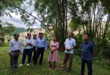 Đoàn công tác tỉnh Gia Lai thăm rừng tre tại tỉnh Thanh Hóa. Ảnh: Nguyễn Diệp ảnh 1